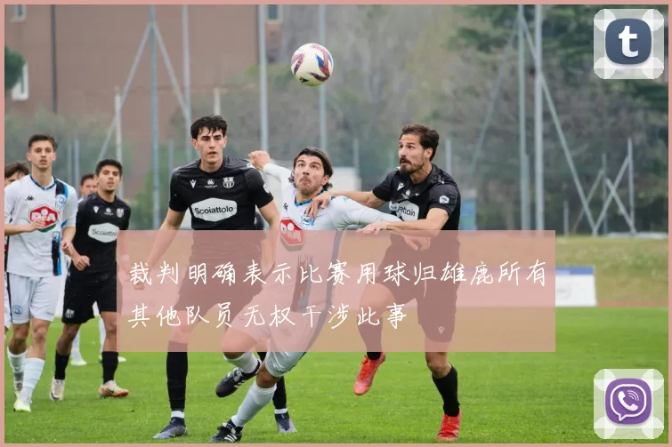 裁判明确表示比赛用球归雄鹿所有其他队员无权干涉此事