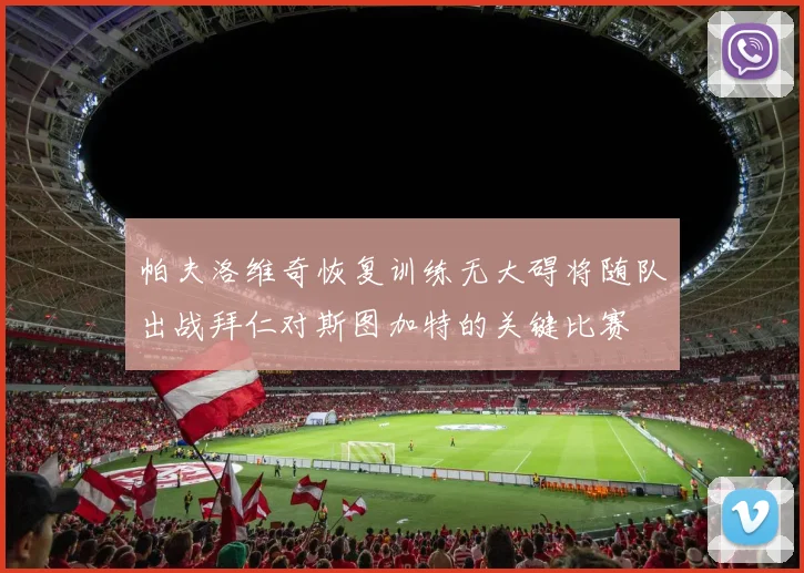 帕夫洛维奇恢复训练无大碍将随队出战拜仁对斯图加特的关键比赛