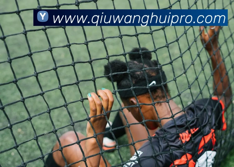 多媒体互动体验